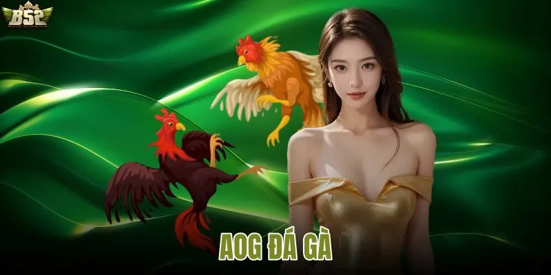 AOG Đá gà với giao diện theo dõi trận đấu trực tuyến sắc nét và tỷ lệ cược cập nhật