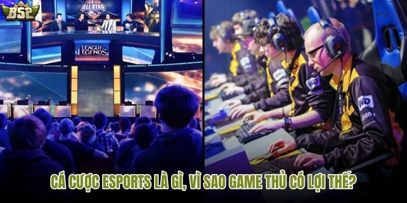 Các bước đặt cược eSports trên B52 cho người mới