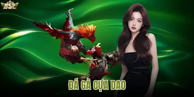 Đá gà cựa dao với hình ảnh hai chiến kê thi đấu trên sân