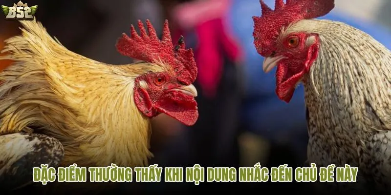 Các đặc điểm nổi bật của đá gà cựa dao