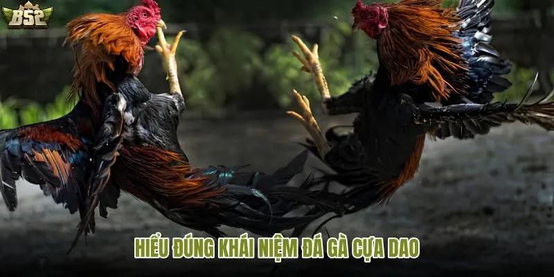 So sánh đá gà cựa dao với các hình thức khác
