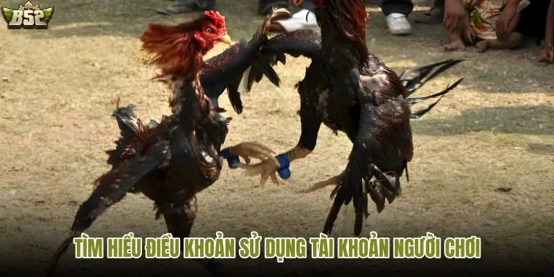 Nắm rõ điều khoản trước khi tham gia