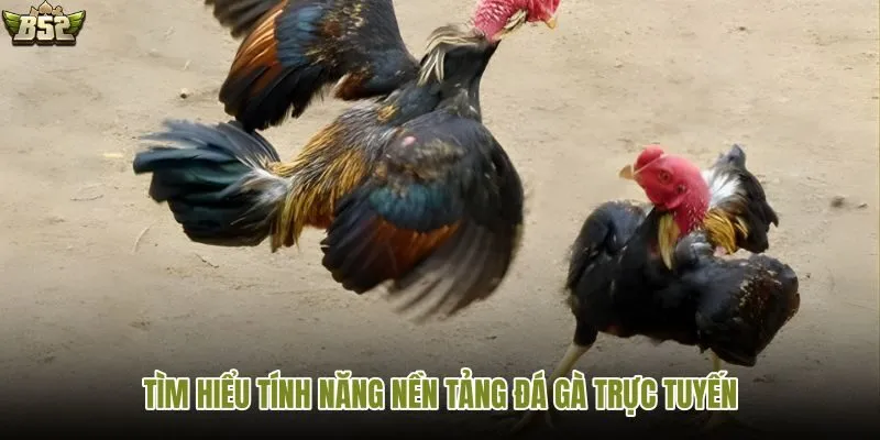 Khám phá các tính năng hữu ích trên nền tảng
